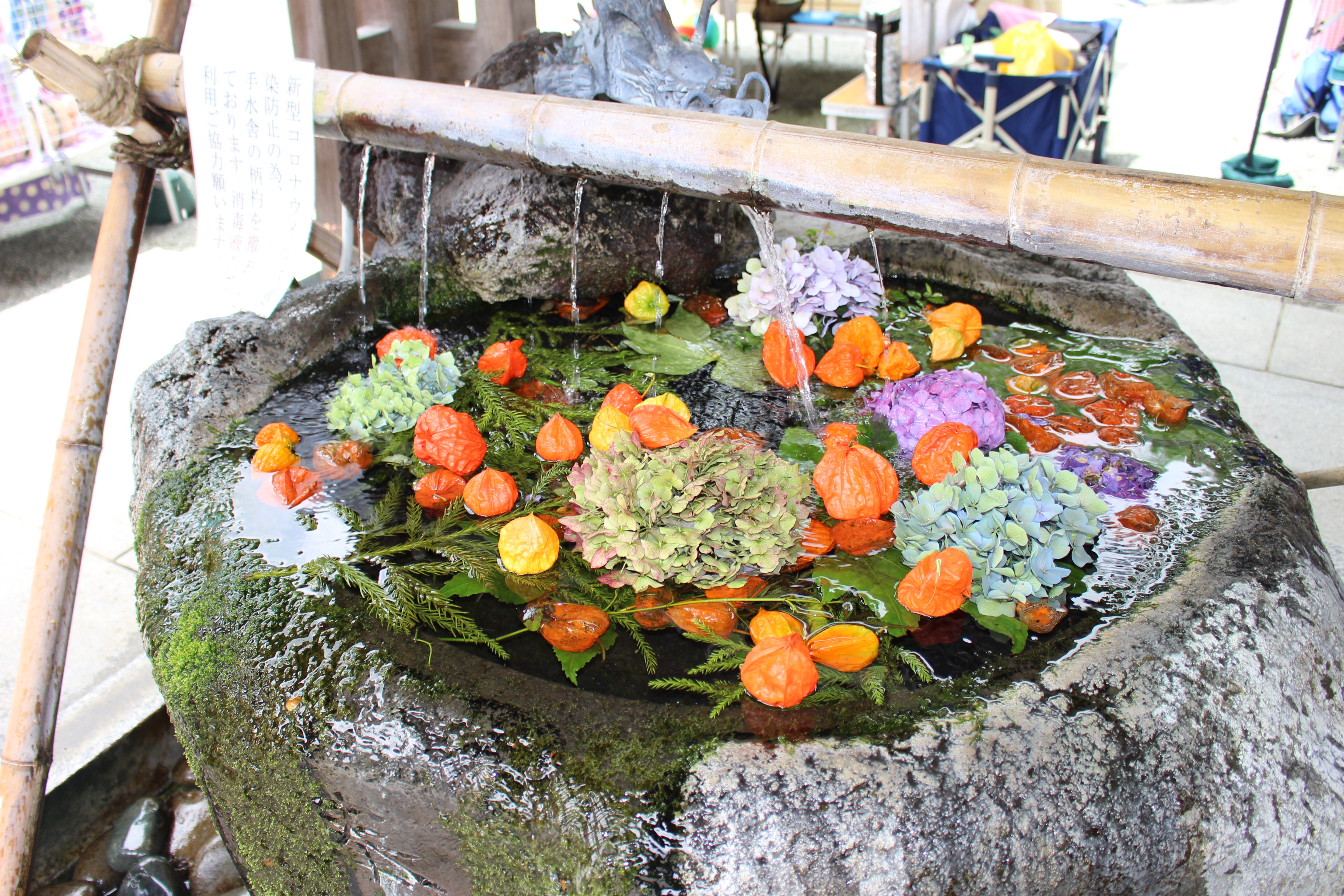 お清めの花手水 – 出雲大社相模分祠からのお知らせ